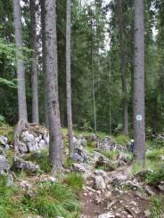 Circuitul Cetatile Ponorului