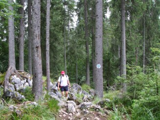 Circuitul Cetatile Ponorului