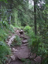 Circuitul Cetatile Ponorului