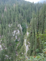 Circuitul Cetatile Ponorului