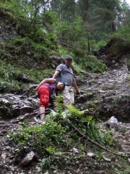 Circuitul Cetatile Ponorului