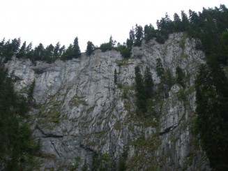 Circuitul Cetatile Ponorului