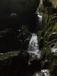 Circuitul Cetatile Ponorului