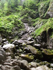 Circuitul Cetatile Ponorului