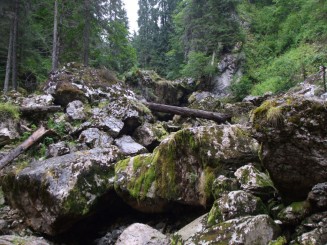 Circuitul Cetatile Ponorului