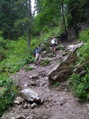 Circuitul Cetatile Ponorului