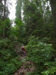 Circuitul Cetatile Ponorului