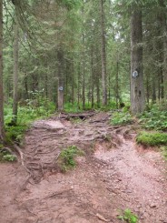 Circuitul Cetatile Ponorului