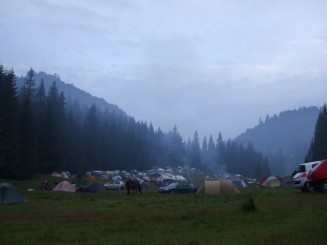 Poana Glavoi - dimineata