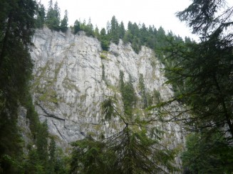 Circuitul Cetatile Ponorului