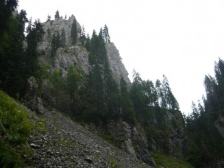 Circuitul Cetatile Ponorului