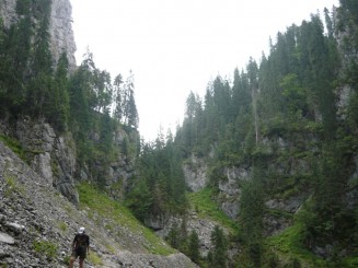 Circuitul Cetatile Ponorului