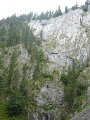 Circuitul Cetatile Ponorului