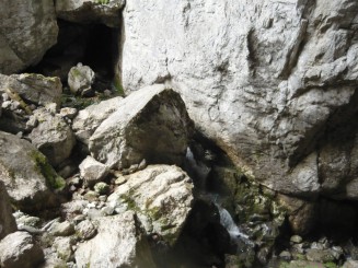 Circuitul Cetatile Ponorului