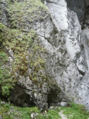 Circuitul Cetatile Ponorului