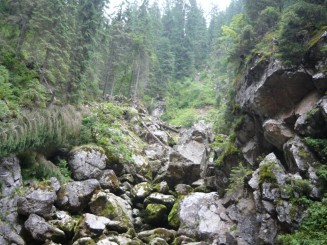 Circuitul Cetatile Ponorului