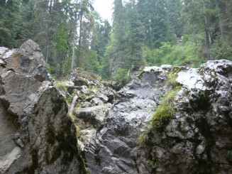 Circuitul Cetatile Ponorului