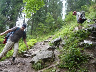 Circuitul Cetatile Ponorului