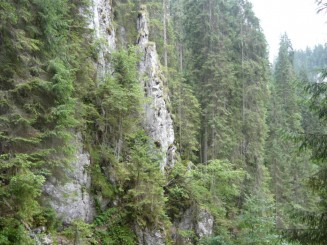 Circuitul Cetatile Ponorului