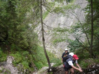 Circuitul Cetatile Ponorului