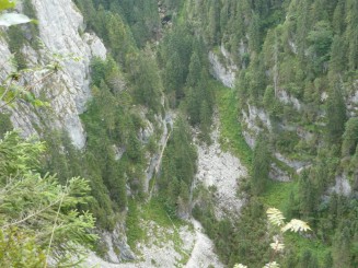 Circuitul Cetatile Ponorului