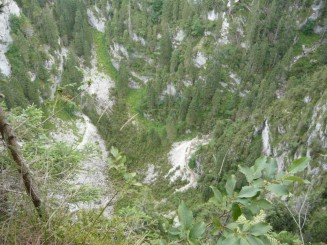 Circuitul Cetatile Ponorului