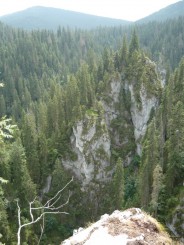 Circuitul Cetatile Ponorului