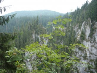 Circuitul Cetatile Ponorului