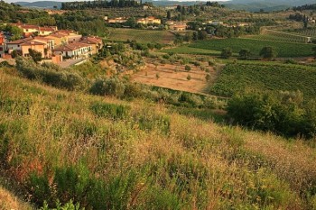Peisaj toscan in regiunea Chianti, Toscana