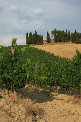 Peisaj toscan in regiunea Chianti, Toscana