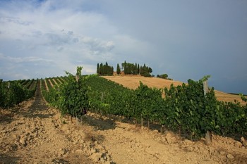 Peisaj toscan in regiunea Chianti, Toscana