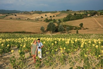 Peisaj toscan in regiunea Chianti, Toscana