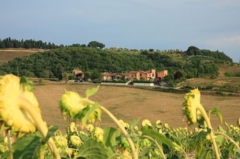 Peisaj toscan in regiunea Chianti, Toscana