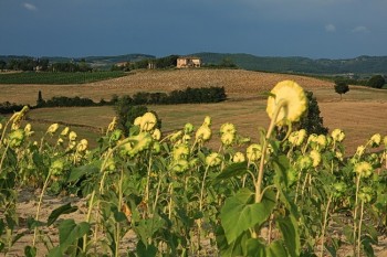 Peisaj toscan in regiunea Chianti, Toscana