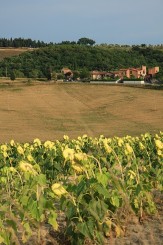 Peisaj toscan in regiunea Chianti, Toscana