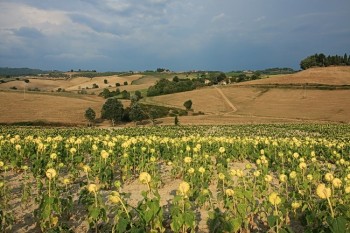 Peisaj toscan in regiunea Chianti, Toscana