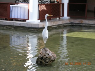 Plajele din Caraibe