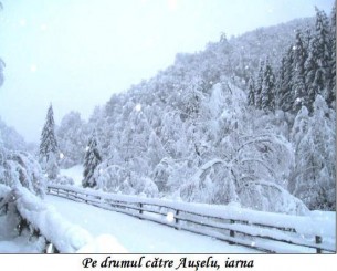 Poze Petrila Imagini Petrila Informații Turistice Petrila Romania