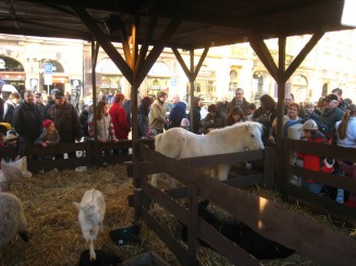 Targul de Craciun - Praga