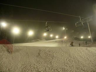 Partia din Gura Humorului