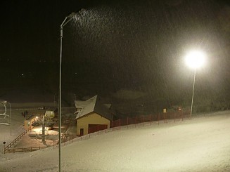 Partia din Gura Humorului