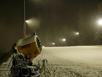 Partia din Gura Humorului