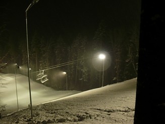 Partia din Gura Humorului