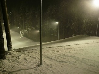 Partia din Gura Humorului