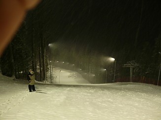 Partia din Gura Humorului