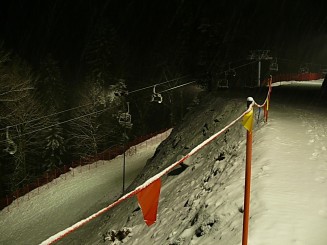 Partia din Gura Humorului