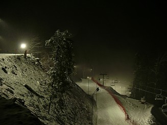 Partia din Gura Humorului