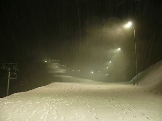 Partia din Gura Humorului