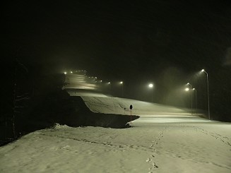 Partia din Gura Humorului