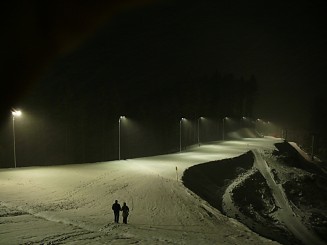 Partia din Gura Humorului